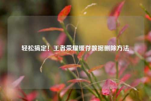 轻松搞定！王者荣耀缓存数据删除方法