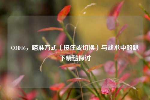 COD16，瞄准方式（按住或切换）与战术中的趴下精髓探讨