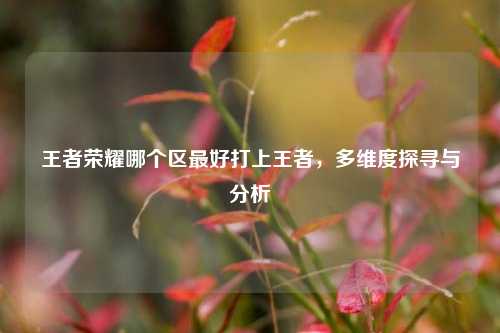 王者荣耀哪个区最好打上王者,多维度探寻与分析