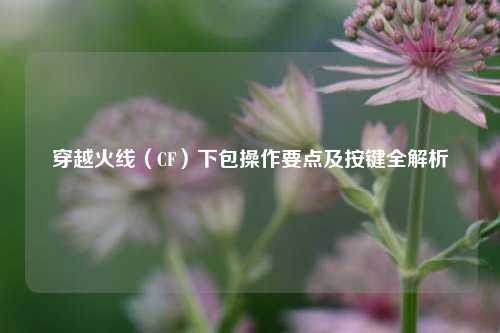 穿越火线（CF）下包操作要点及按键全解析