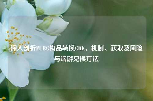 深入剖析PUBG物品转换CDK，机制、获取及风险与端游兑换方法