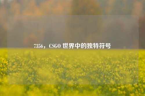 7356，CSGO 世界中的独特符号