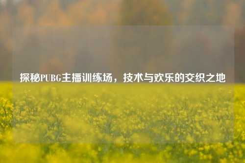 探秘PUBG主播训练场，技术与欢乐的交织之地