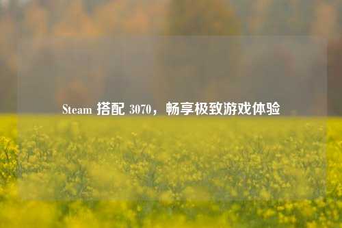 Steam 搭配 3070,畅享极致游戏体验