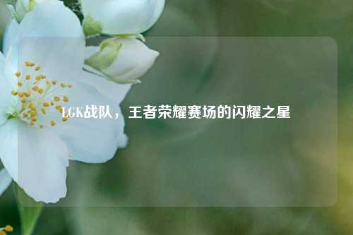LGK战队，王者荣耀赛场的闪耀之星