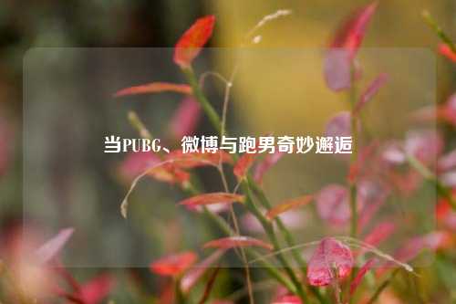 当PUBG、微博与跑男奇妙邂逅