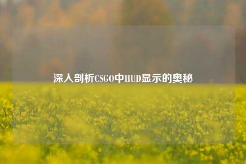 深入剖析CSGO中HUD显示的奥秘