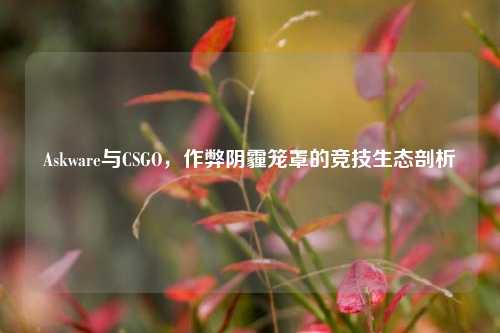 Askware与CSGO,作弊阴霾笼罩的竞技生态剖析