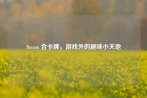 Steam 合卡牌，游戏外的趣味小天地