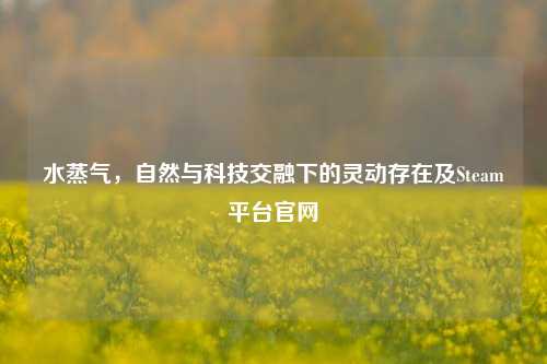 水蒸气，自然与科技交融下的灵动存在及Steam平台官网