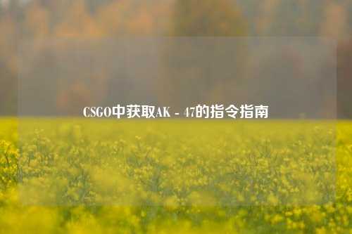 CSGO中获取AK - 47的指令指南