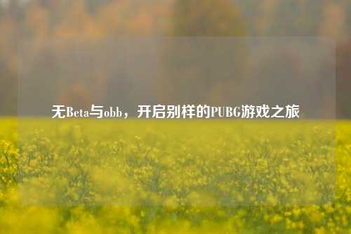 无Beta与obb,开启别样的PUBG游戏之旅