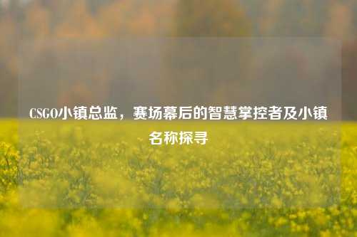 CSGO小镇总监，赛场幕后的智慧掌控者及小镇名称探寻