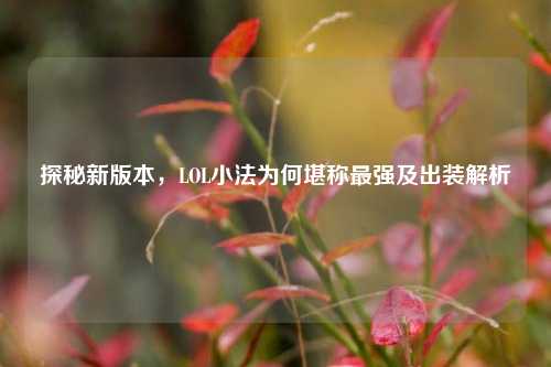 探秘新版本，LOL小法为何堪称最强及出装解析