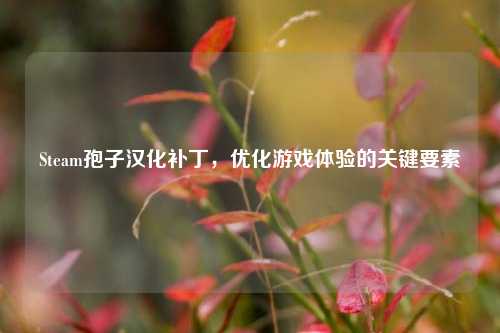 Steam孢子汉化补丁，优化游戏体验的关键要素