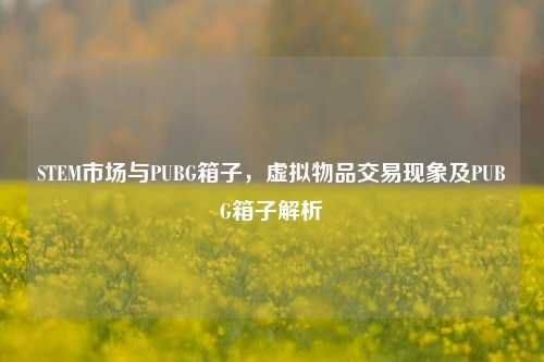 STEM市场与PUBG箱子，虚拟物品交易现象及PUBG箱子解析