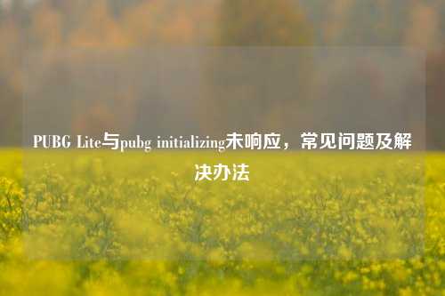 PUBG Lite与pubg initializing未响应，常见问题及解决办法