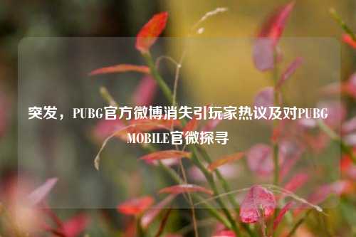 突发，PUBG官方微博消失引玩家热议及对PUBGMOBILE官微探寻