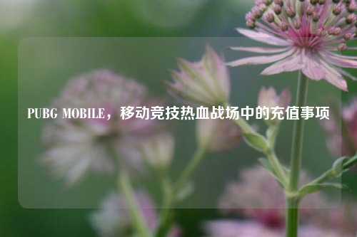 PUBG MOBILE，移动竞技热血战场中的充值事项