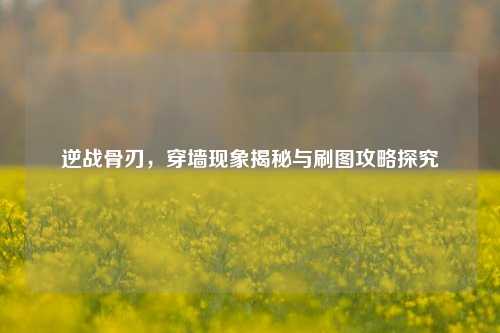 逆战骨刃，穿墙现象揭秘与刷图攻略探究