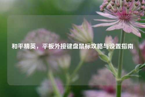 和平精英，平板外接键盘鼠标攻略与设置指南