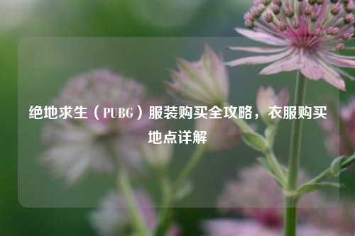 绝地求生（PUBG）服装购买全攻略，衣服购买地点详解