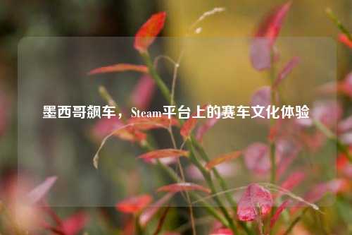 墨西哥飙车，Steam平台上的赛车文化体验