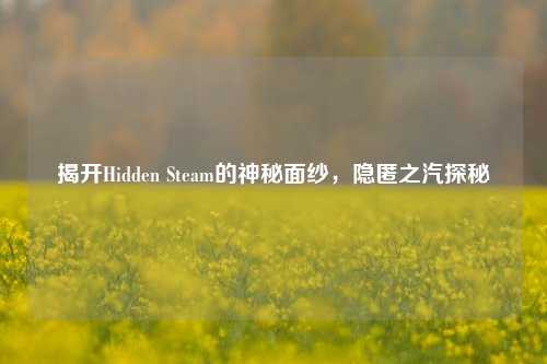 揭开Hidden Steam的神秘面纱，隐匿之汽探秘