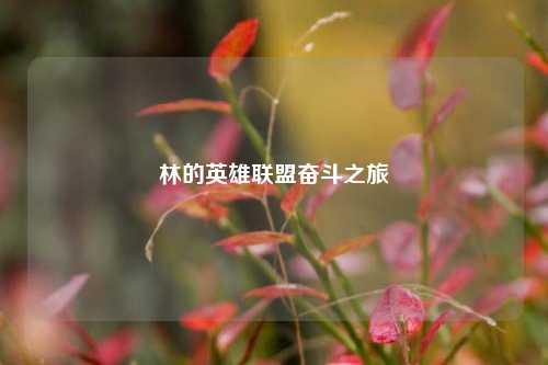 林的英雄联盟奋斗之旅