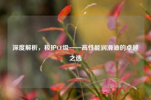 深度解析,极护CF级——高性能润滑油的卓越之选