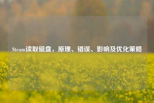 Steam读取磁盘，原理、错误、影响及优化策略