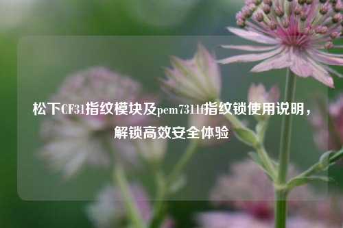 松下CF31指纹模块及pem7311f指纹锁使用说明，解锁高效安全体验