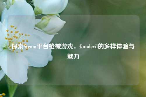 探索Steam平台枪械游戏，Gundevil的多样体验与魅力