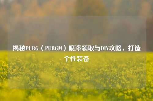 揭秘PUBG（PUBGM）喷漆领取与DIY攻略，打造个性装备