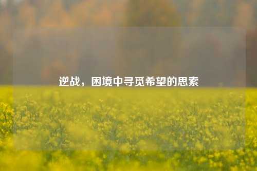 逆战，困境中寻觅希望的思索