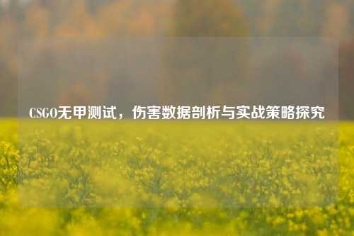 CSGO无甲测试，伤害数据剖析与实战策略探究
