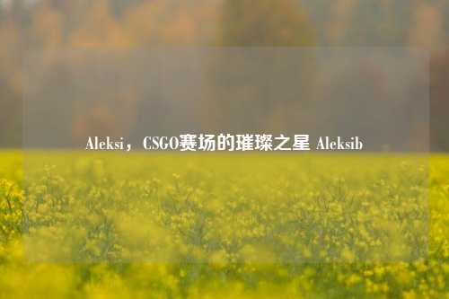 Aleksi，CSGO赛场的璀璨之星 Aleksib