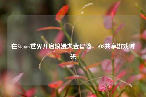 在Steam世界开启浪漫夫妻冒险,iOS共享游戏时光