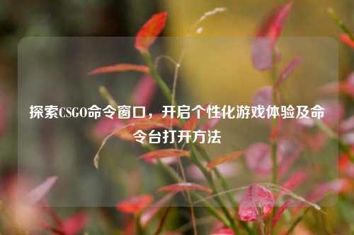 探索CSGO命令窗口,开启个性化游戏体验及命令台打开方法