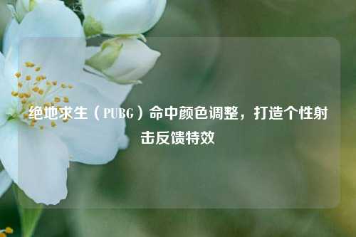 绝地求生（PUBG）命中颜色调整，打造个性射击反馈特效