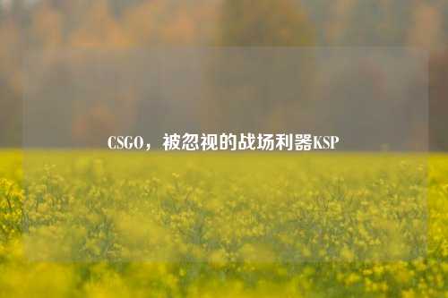 CSGO,被忽视的战场利器KSP