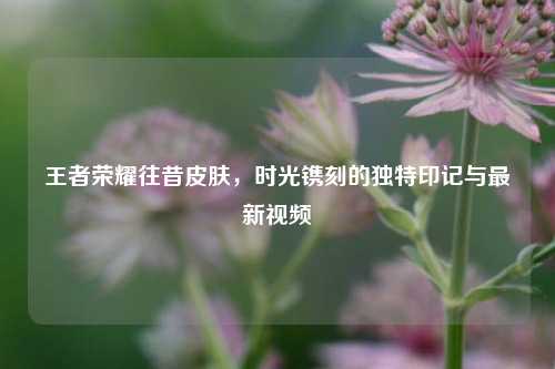 王者荣耀往昔皮肤,时光镌刻的独特印记与最新视频