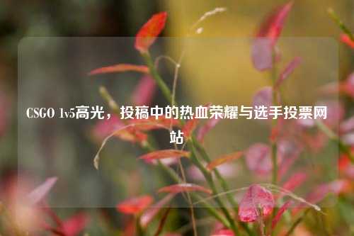 CSGO 1v5高光，投稿中的热血荣耀与选手投票网站