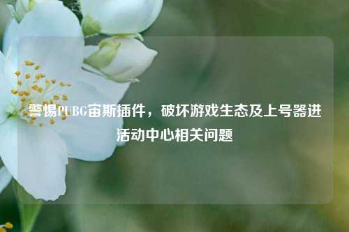 警惕PUBG宙斯插件，破坏游戏生态及上号器进活动中心相关问题