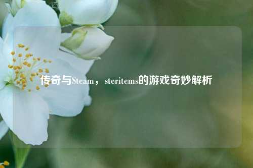 传奇与Steam，steritems的游戏奇妙解析