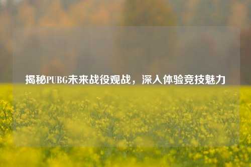 揭秘PUBG未来战役观战，深入体验竞技魅力