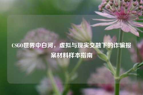 CSGO世界中白河,虚拟与现实交融下的诈骗报案材料样本指南