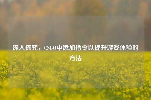 深入探究，CSGO中添加指令以提升游戏体验的方法