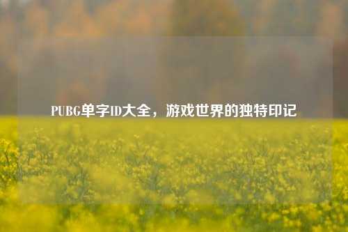 PUBG单字ID大全，游戏世界的独特印记