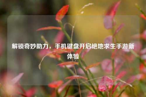 解锁奇妙助力,手机键盘开启绝地求生手游新体验